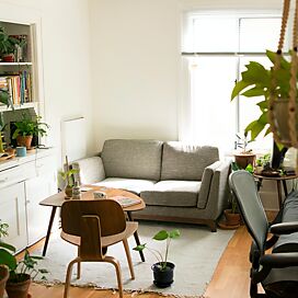 Urban Jungle: Plantas em casa