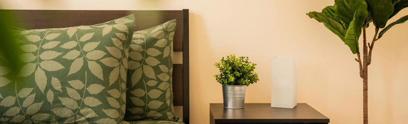 Ano novo, casa nova! Descubra ofertas imperdíveis para casa e decoração!