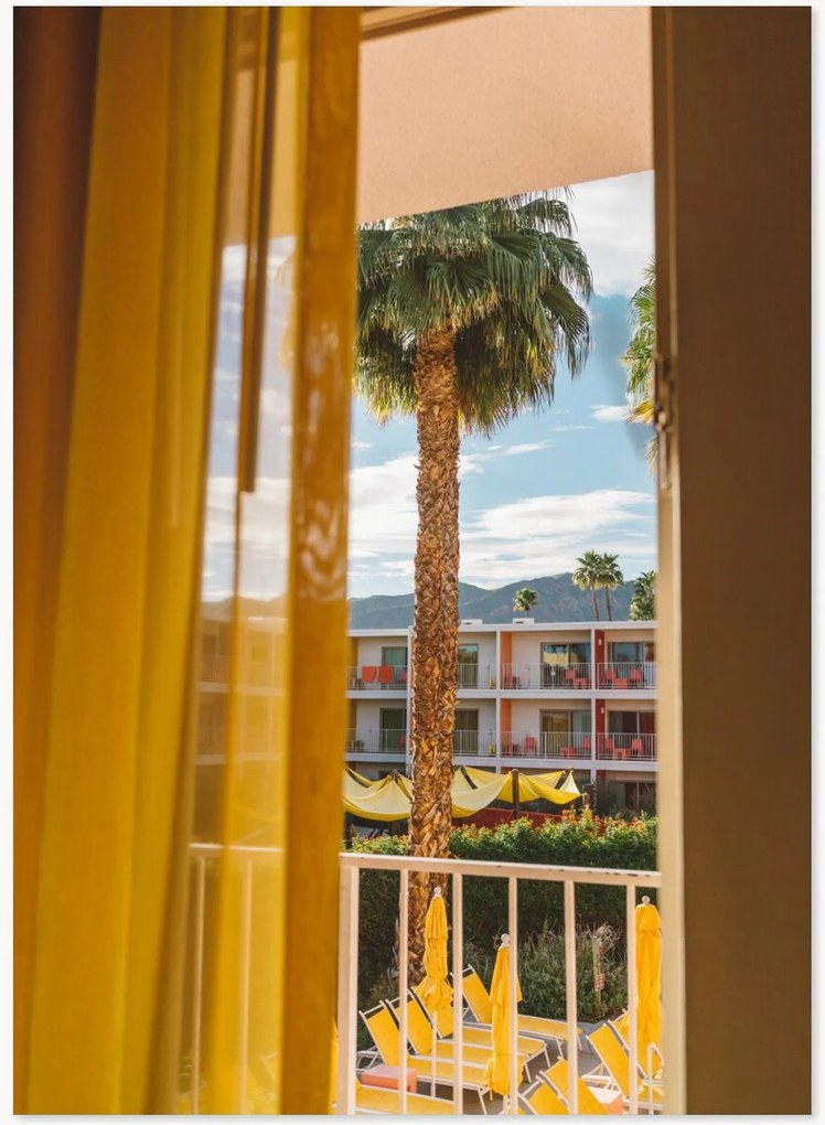 Póster Palm Springs Dreams
