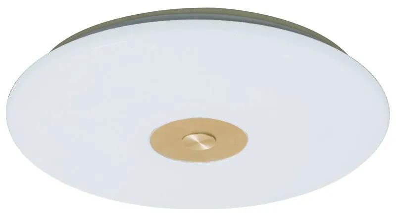 Pro Dimmable LED Flush Light 50W