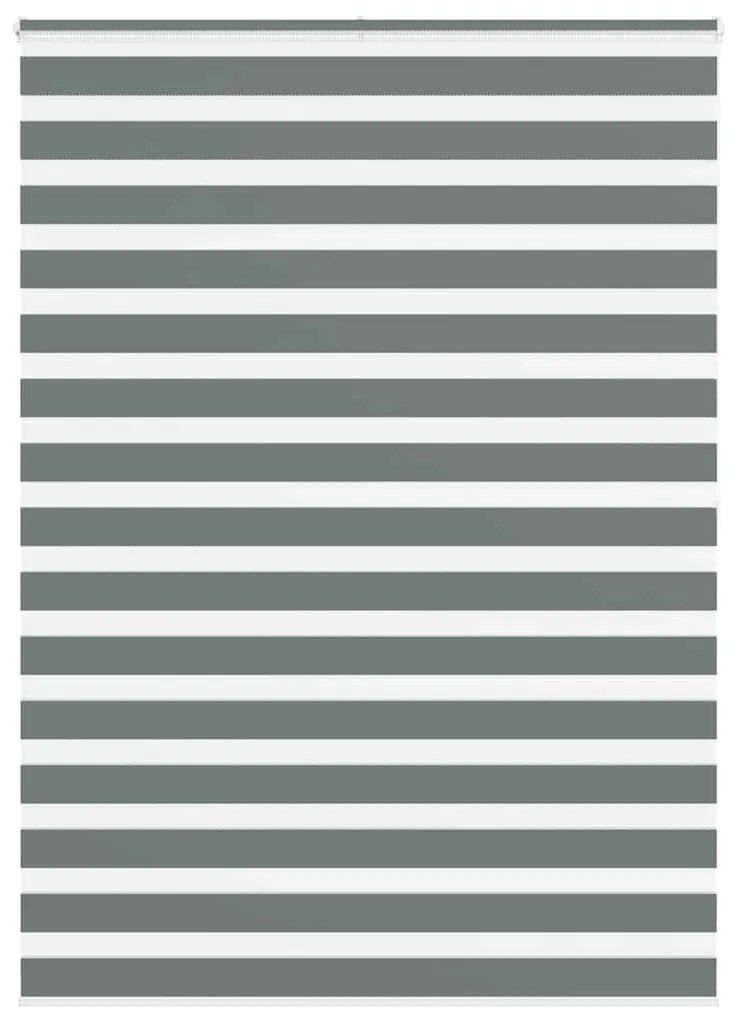vidaXL Cortina de zebra 165x200 cm largura do tecido 160,9cm poliéster