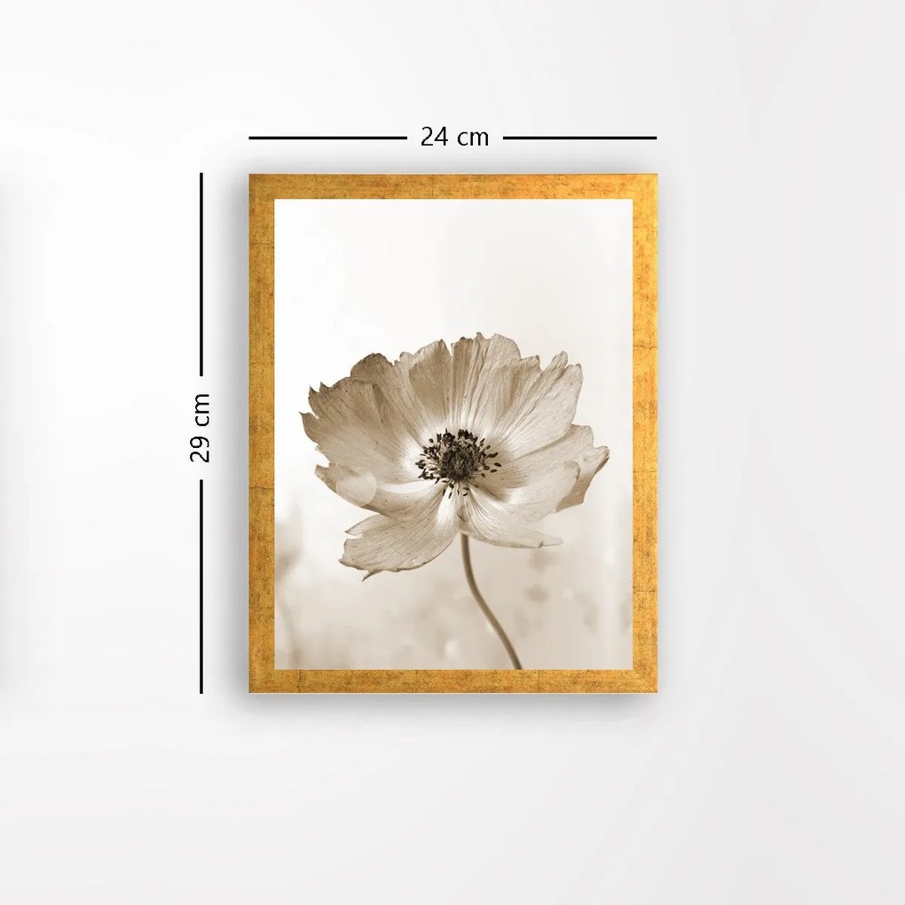 Pintura Decorativa em MDF com Moldura AC1680333027 – Multicolor – 24 x