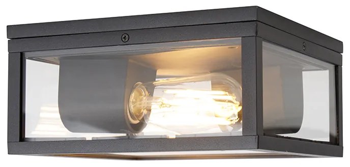 Candeeiro de teto industrial preto IP44 2 luzes - Charlois