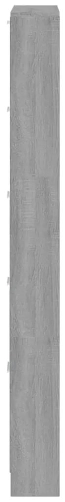 Sapateira 59x17x169 cm derivados de madeira sonoma cinza
