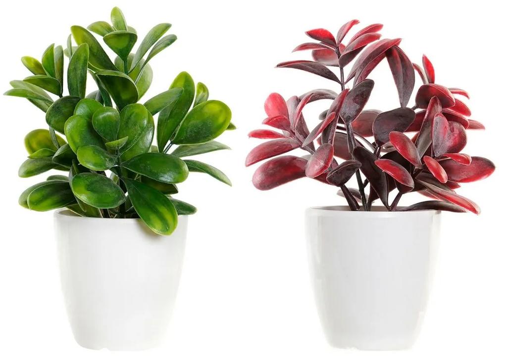 Planta Decorativa DKD Home Decor Vermelho Verde Grés Polipropileno (PP) (2 pcs) (13 x 11 x 17.5 cm)