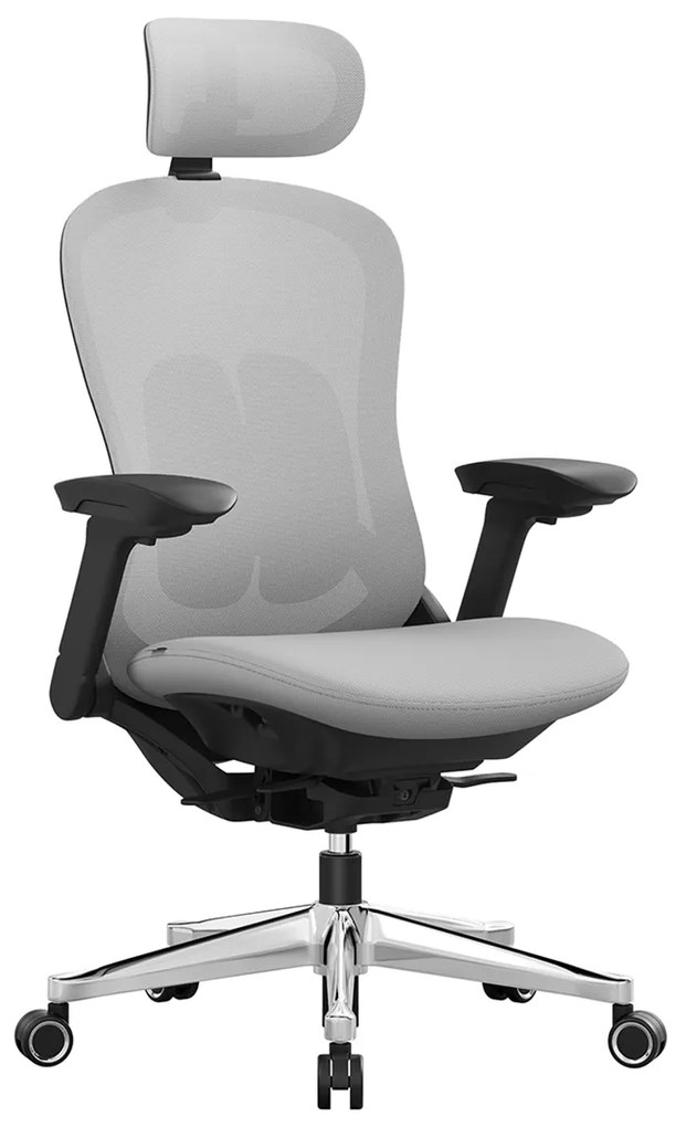 Cadeira de escritório SONGMICS, cadeira ergonômica de lona ajustável, encosto reclinável, assento frontal ou traseiro ajustável, apoios de braços 4D, apoio lombar, capacidade 150kg, cinza Dove OBN065G01