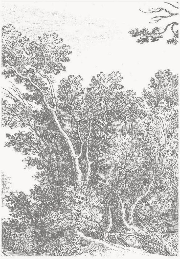 Papel de parede não tecido Engraved Landscapes V