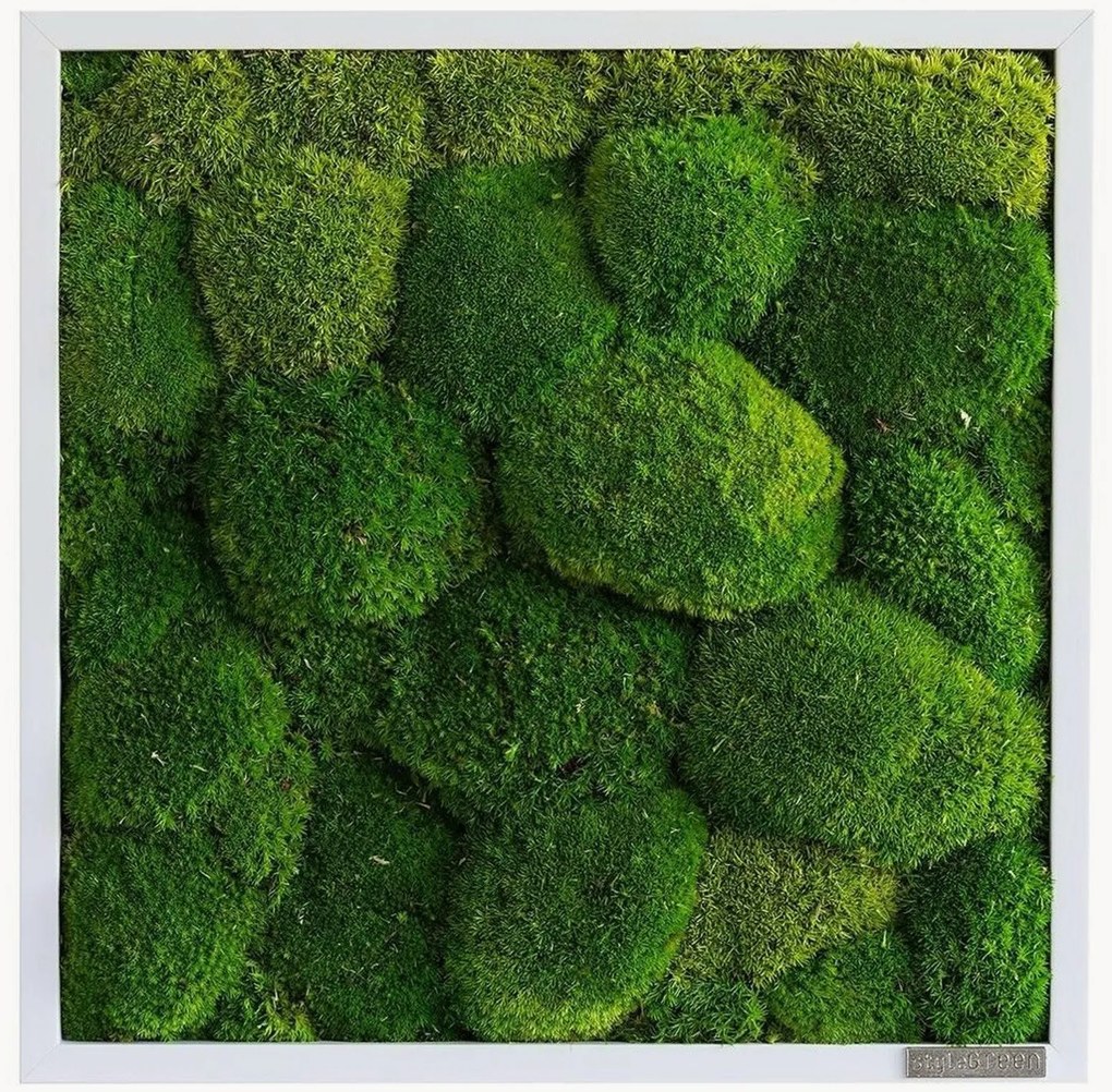 Quadro emoldurado artesanal com musgo Ball Forest