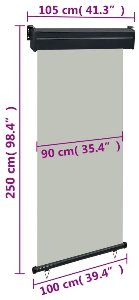 Toldo lateral para varanda 100x250 cm cinzento