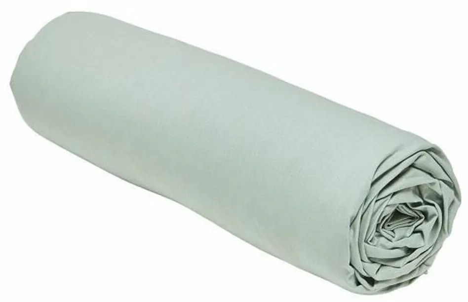 Lençol de baixo ajustável TODAY Essential Verde Claro 140 x 200 cm