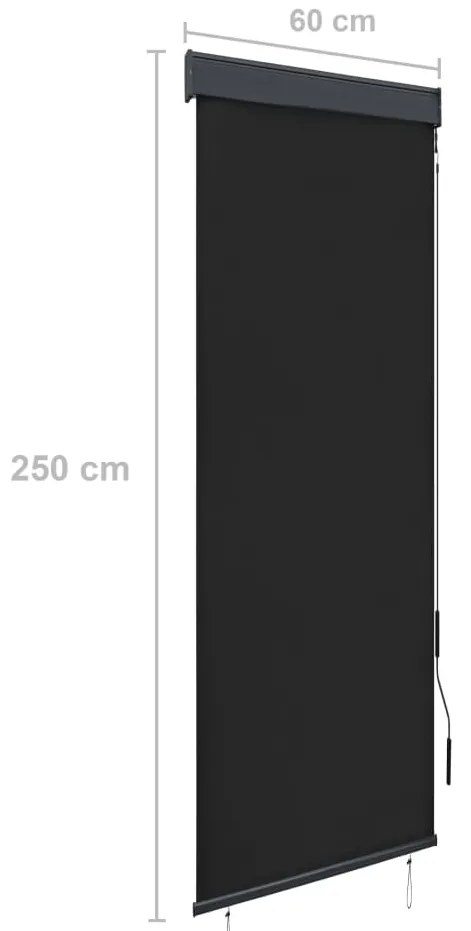 Estore de rolo para exterior 60x250 cm antracite