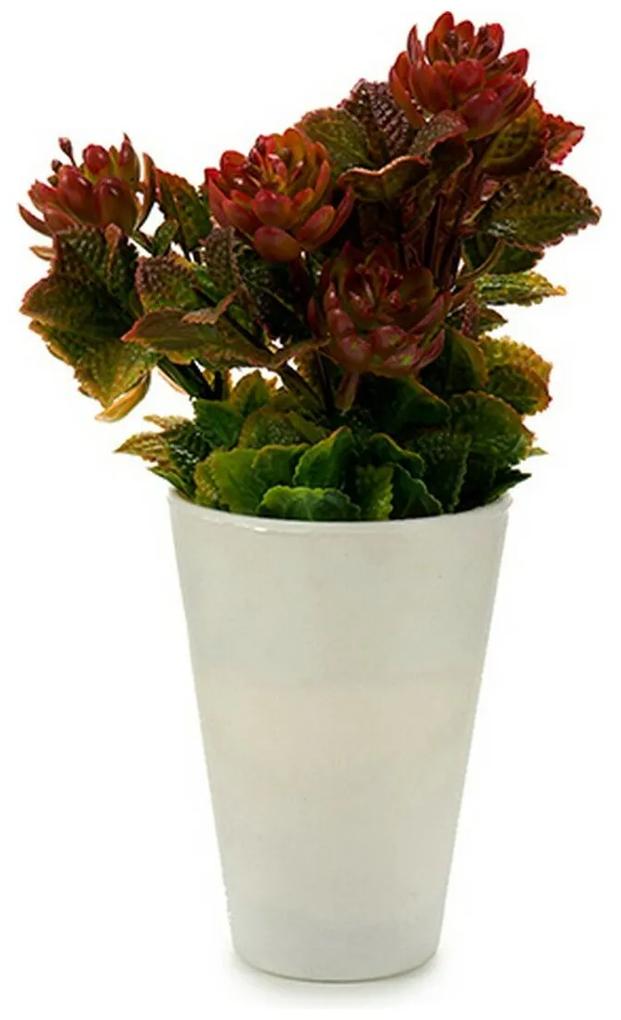 Planta Decorativa Branco Plástico (10 x 22 x 10 cm)