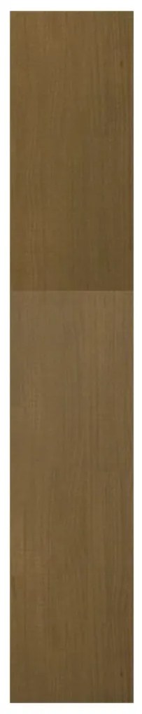 Estante/divisória 40x30x167,5 cm pinho maciço castanho mel