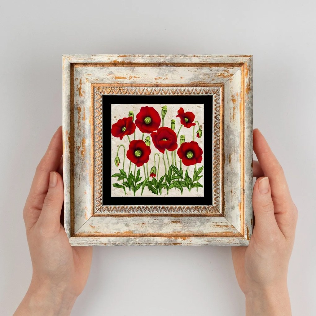 Pintura Decorativa em Moldura TC357225 – Multicolor – 20 x 20 cm