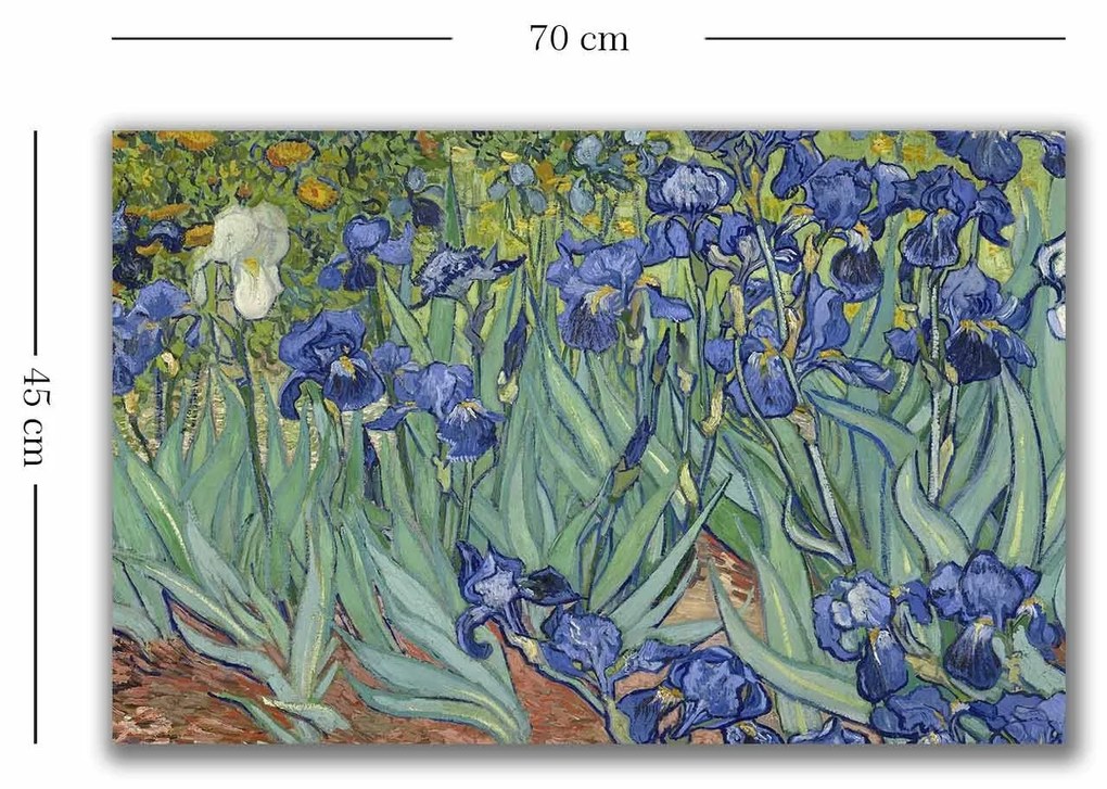Tela Decorativa 4570VANGOGH035 – Multicolor – 45 x 70 cm