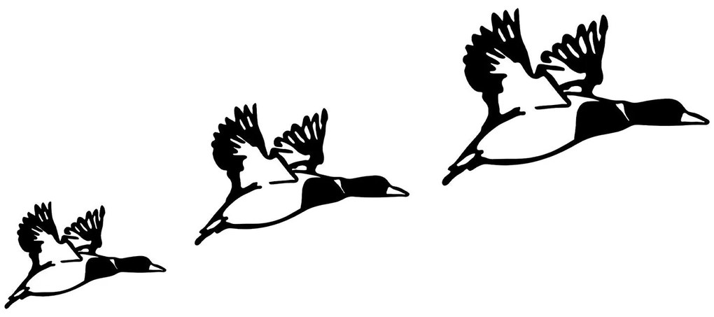 Acessório Decorativo de Parede Metalizado Patos – Preto – 11x16 cm, 14