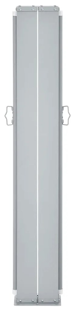 Toldo lateral retrátil 100x600 cm antracite