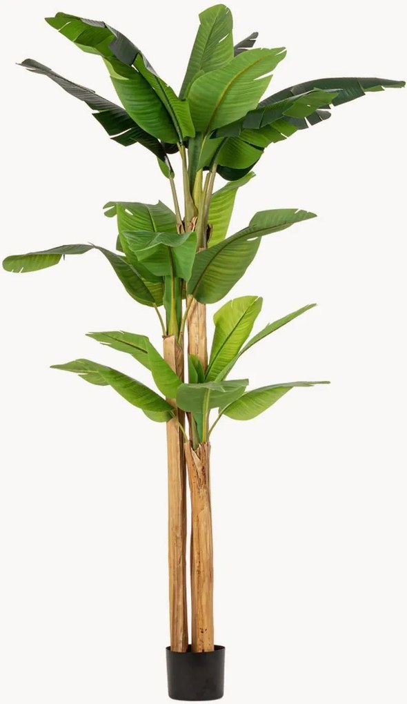 Planta artificial para exterior Banana Plant, Alt 280 cm