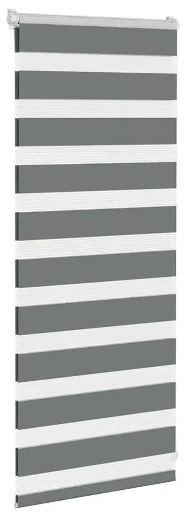 Cortina de zebra 65x100 cm largura do tecido 60,9 cm poliéster