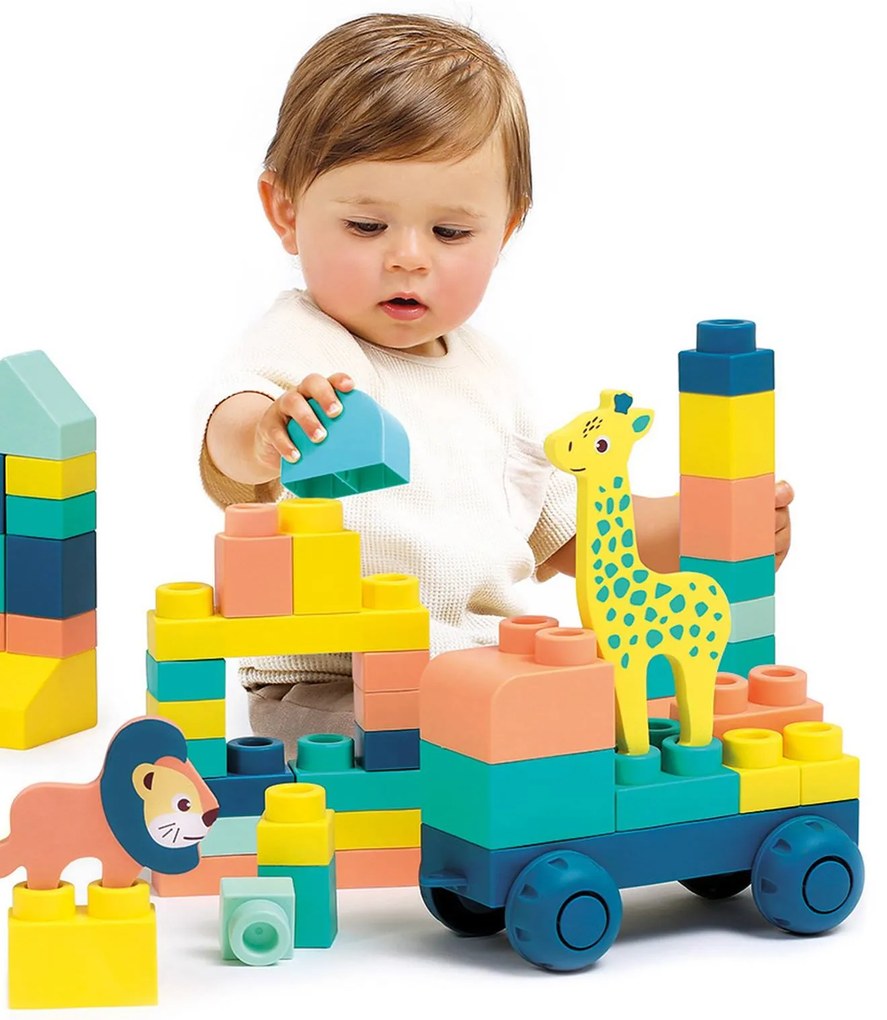 Briqui as minhas primeiras construções Ludi multicolor