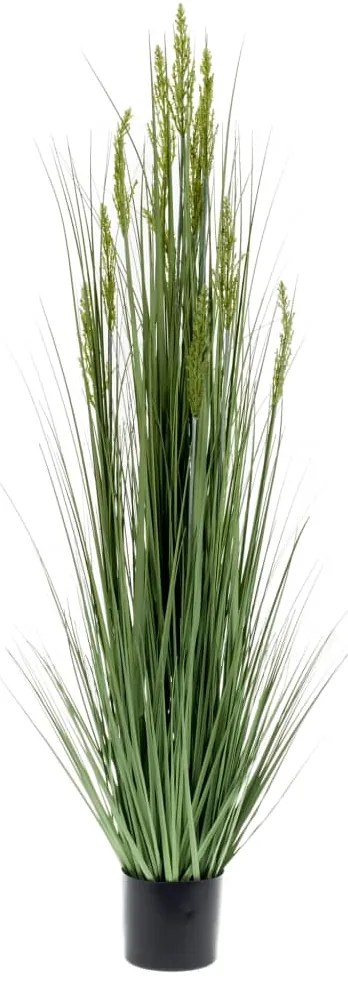 423617 Emerald Erva de grão artificial 150 cm