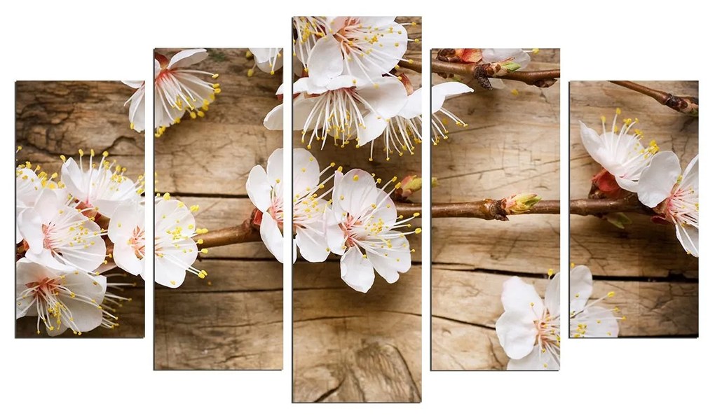 Pintura Decorativa MDF 5PMDF-30 – Multicolor – 110 x 60 cm