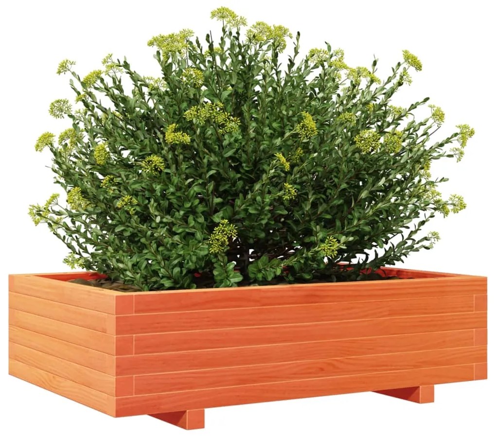 Vaso/floreira de jardim 90x60x26,5 cm pinho maciço castanho-mel