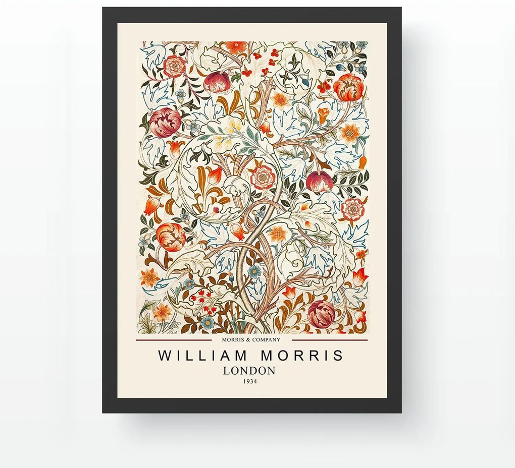 Quadro Decorativo com Moldura SC23868562-3545 – Multicolor – 35 x 45 c