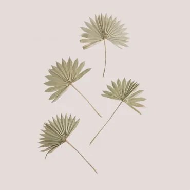 Pacote De 4 Ramos Secos Decorativos Urpek Verde Bambu - Sklum
