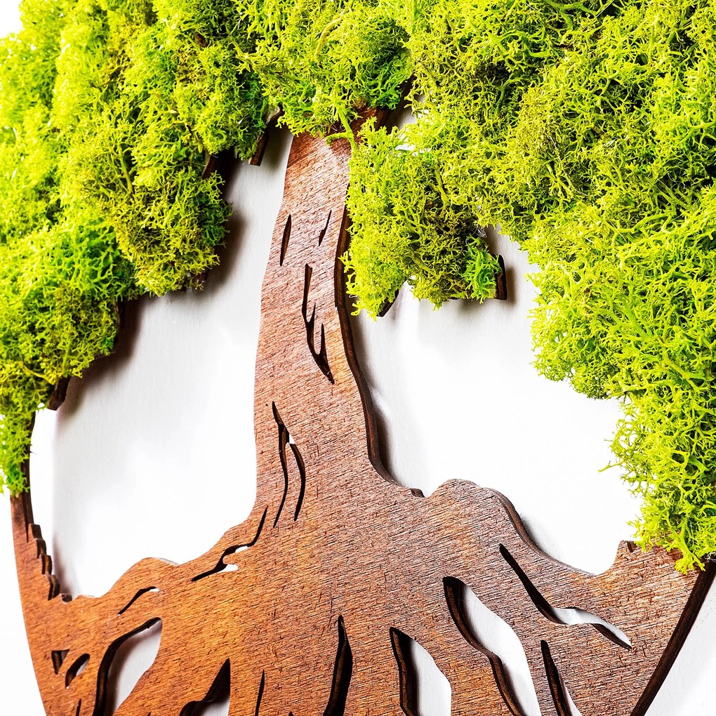 Acessório Decorativo de Parede Tree Of Life – Verde – 44 x 1 x 44 cm