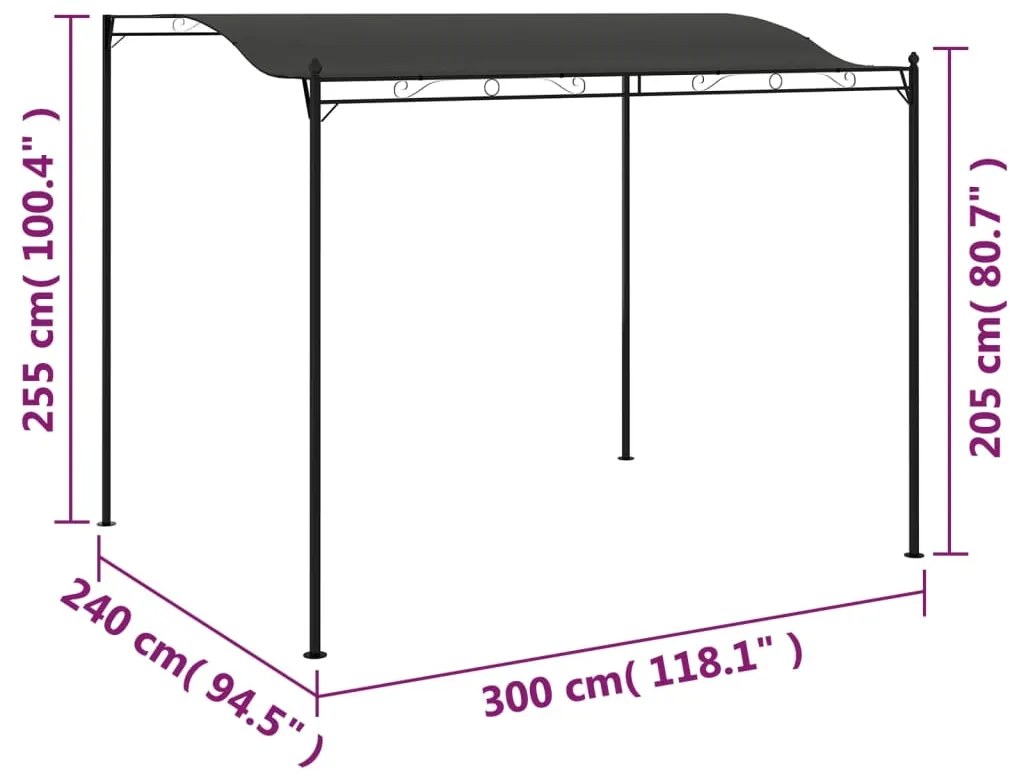 Toldo 3x2,4 m antracite