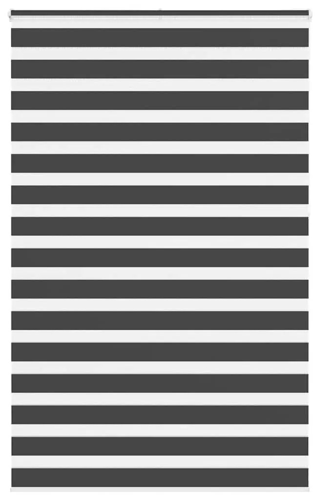 vidaXL Cortina de zebra 150x230 cm largura do tecido 145,9cm poliéster