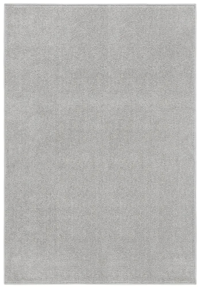 340325 vidaXL Tapete de pelo curto 160x230 cm cinzento-claro