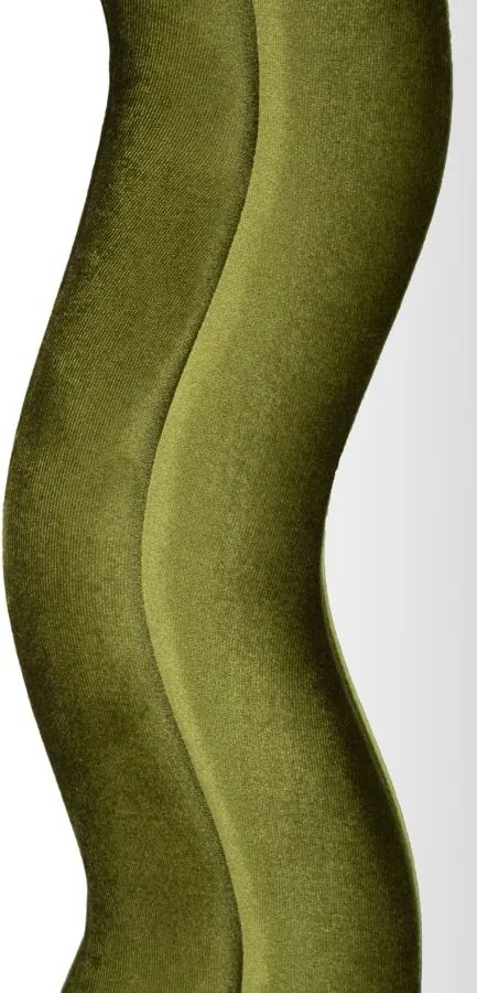 ESPELHO DE PAREDE 60X4X160 CM VERDE