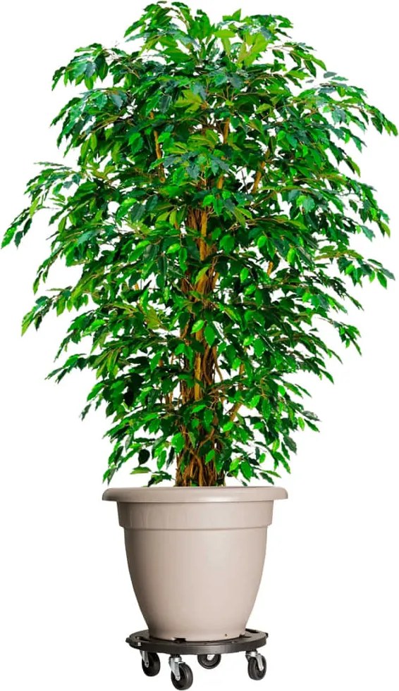vidaXL Carrinho de plantas com rodas 5 pcs diâmetro 40 cm 275 kg preto