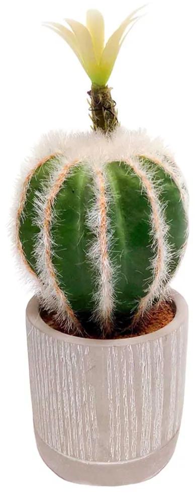 Planta cactus JOM 1840800000201
