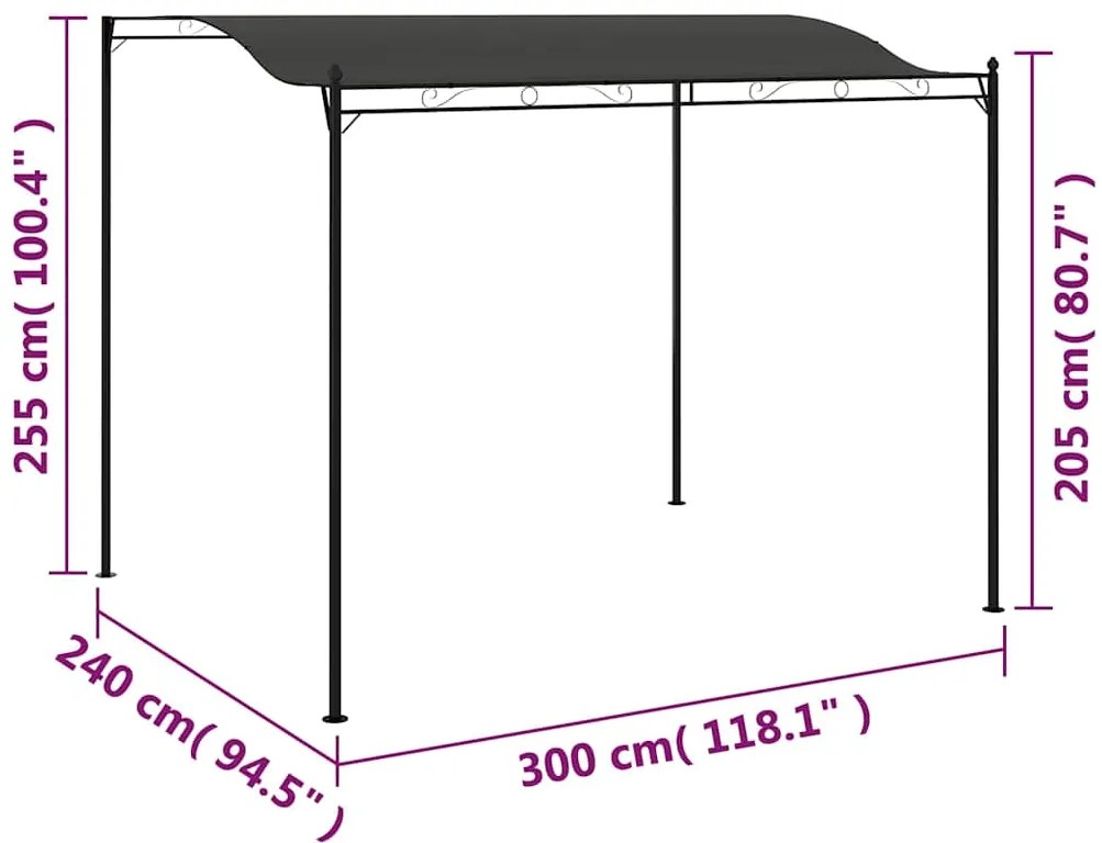 Toldo 3x2,4 m antracite