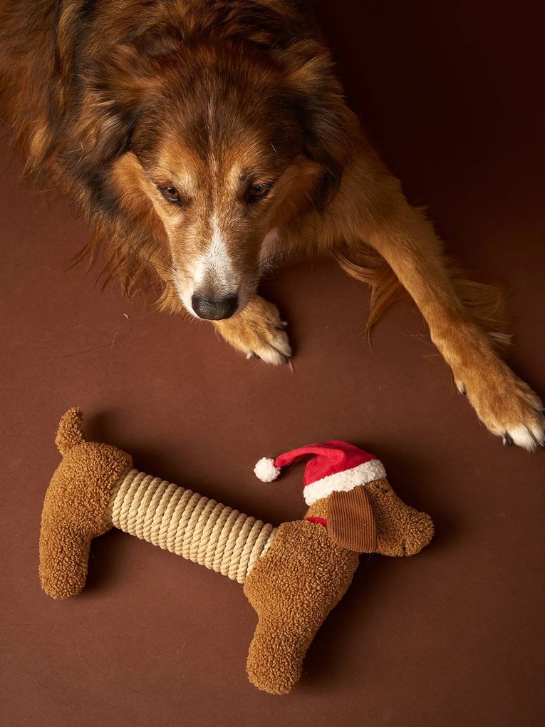 Brinquedo cão salsicha de Natal chocolate
