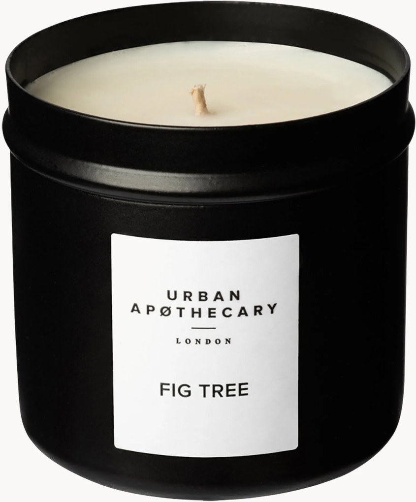 Vela perfumada vertida à mão Fig Tree (folha de figo, coco, cedro)