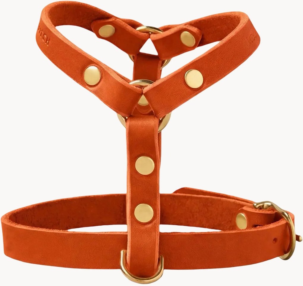 Peitoral para cão em pele Y-Harness, vários tamanhos