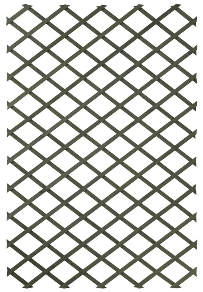 276935 Nature 2 pcs treliça de jardim 100x200 cm madeira verde