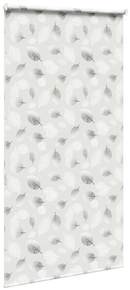 Rolo de Duche Estores 140x240 cm Largura Tecido 136 cm
