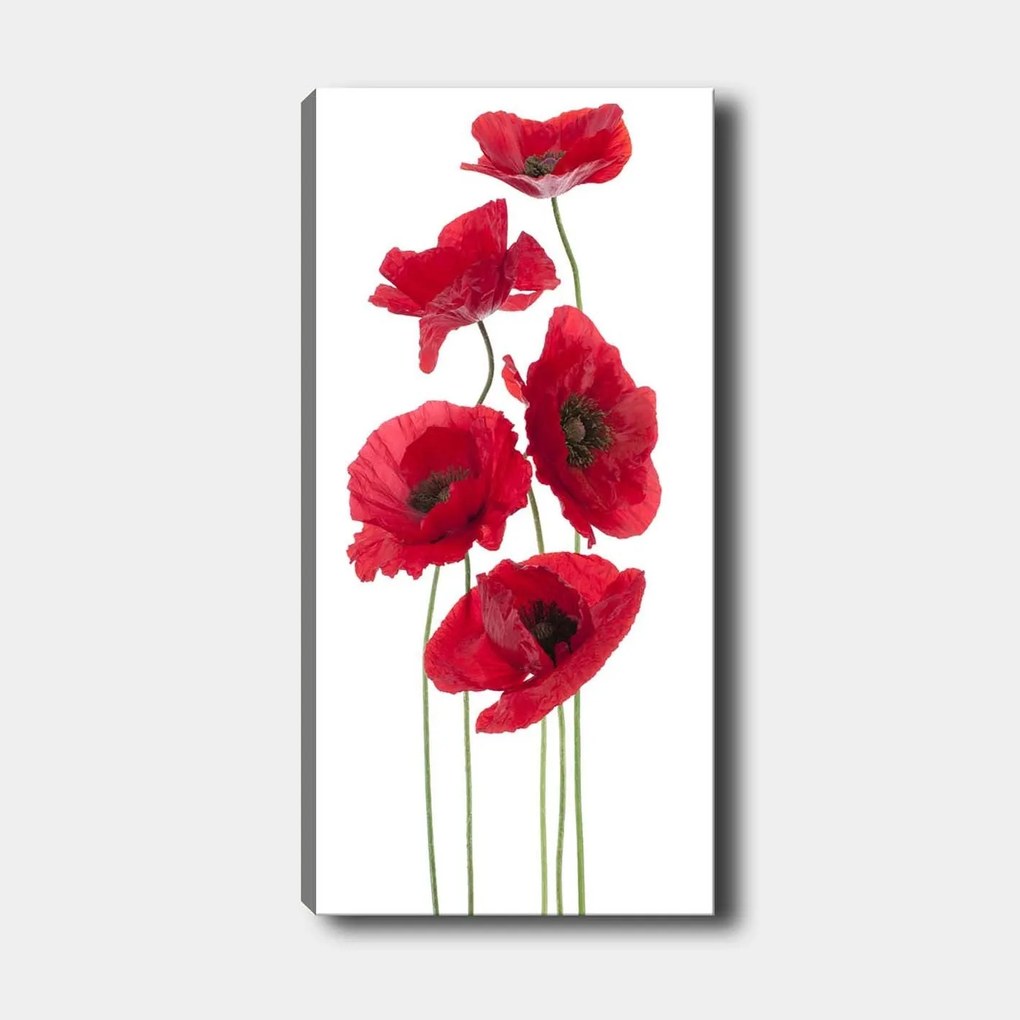 Pintura Decorativa em Tela DKY128322_50120 – Multicolor – 50 x 120 cm