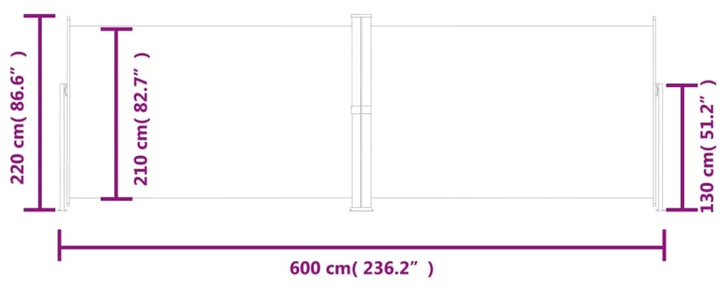 Toldo lateral retrátil 220x600 cm preto