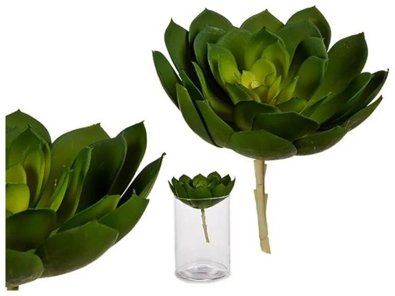 Planta Decorativa Plástico
