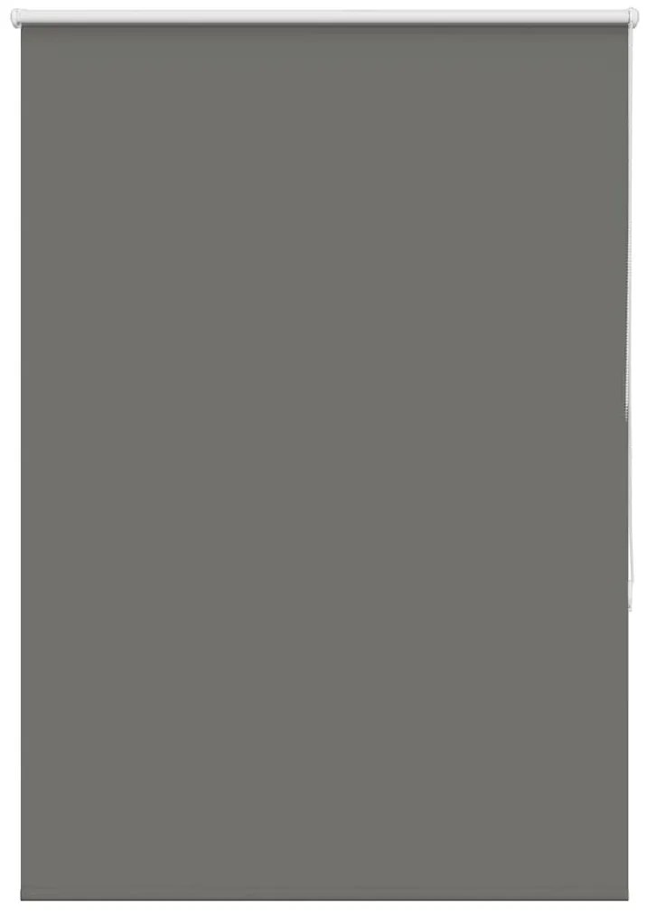 vidaXL Persiana de enrolar 105x175 cm largura tecido 100,7cm poliéster