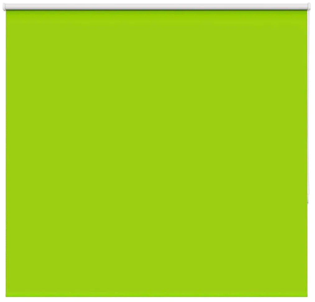vidaXL Persiana de enrolar 150x130 cm largura tecido 146,6cm poliéster