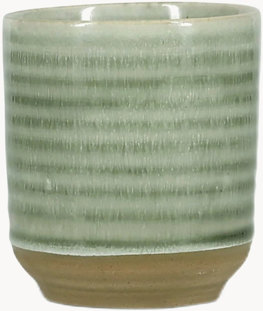 Chávenas Cameo Green, conjunto de 4