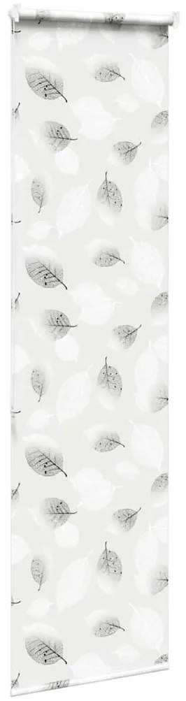 Rolo de Duche Estores 80x240 cm Largura Tecido 76 cm