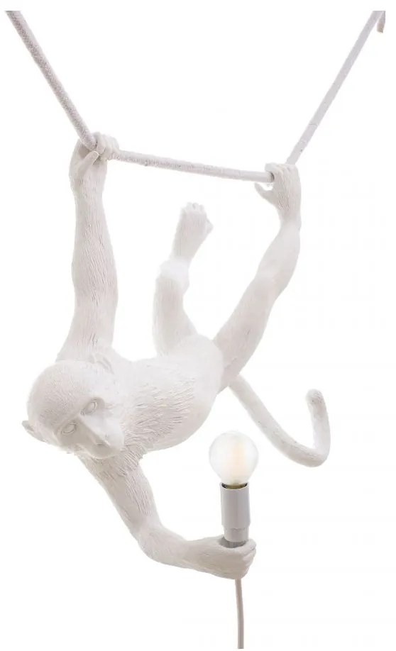 The Monkey Lamp - Suspenso